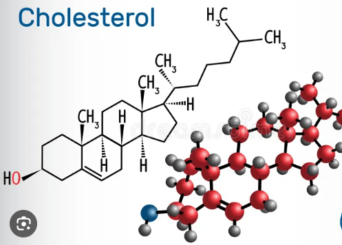 COLESTEROL, QUE ES Molecula Colesterol