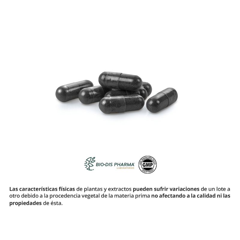 carbon natural essential3 Carbón vegetal activado 200 mg. - Imagen 3