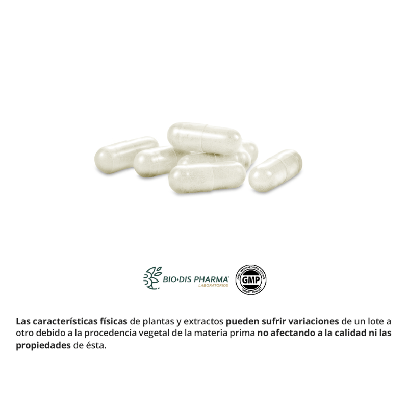 carnitina nature3 L-Carnitina 450 mg — Nature Essential - Imagen 3