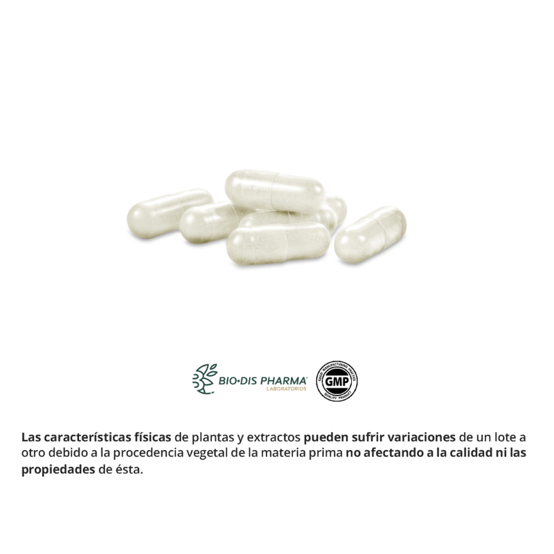 cartilago obire3 Cartílago de tiburón 740 mg. - Imagen 3