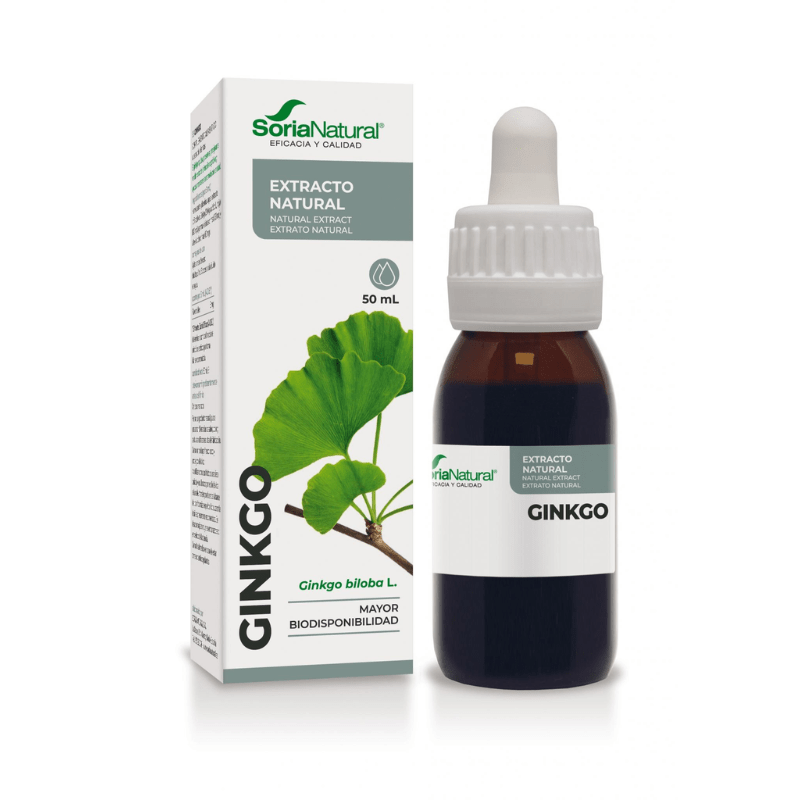 ginkgo soria1 Ginkgo Extracto