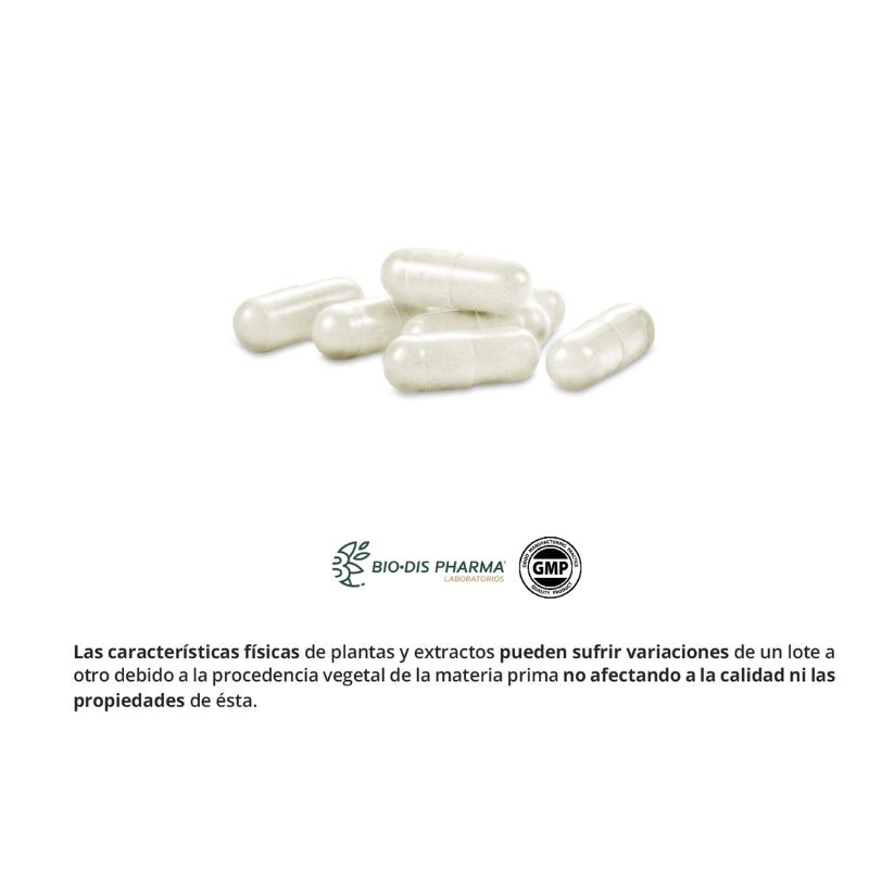 lysina nature 3 L-lysina 350 mg - Imagen 3