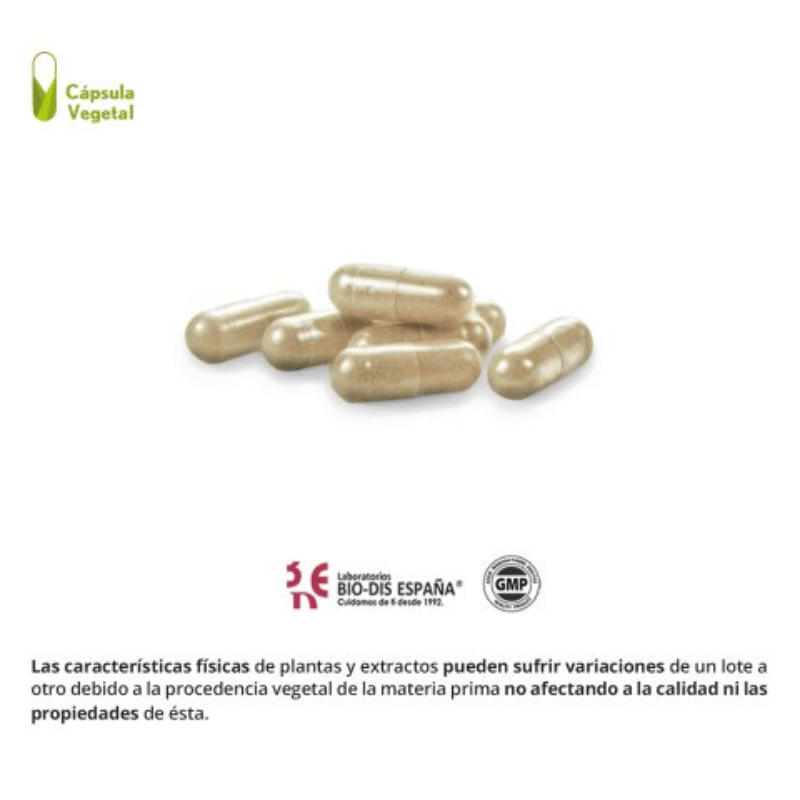 moringa natural3 Moringa (complex) 4000 mg. - Imagen 3
